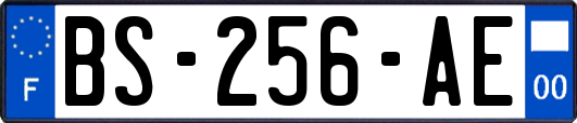 BS-256-AE