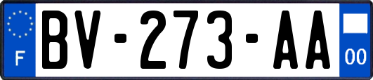 BV-273-AA