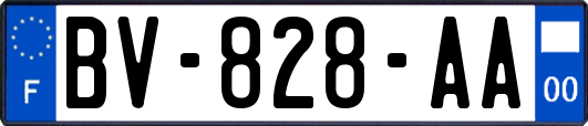 BV-828-AA