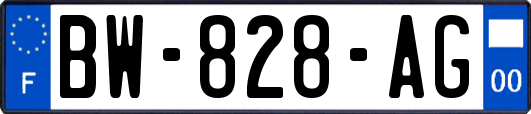 BW-828-AG