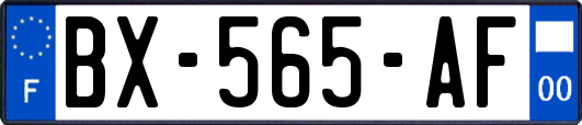 BX-565-AF