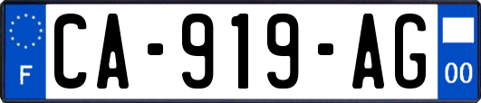 CA-919-AG