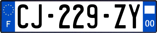 CJ-229-ZY