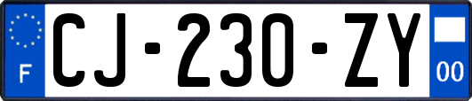 CJ-230-ZY