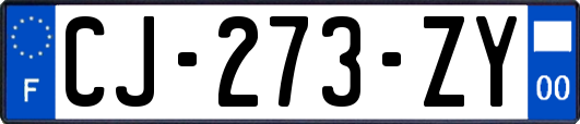 CJ-273-ZY
