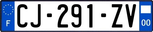 CJ-291-ZV