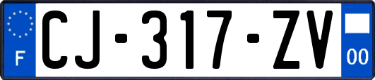 CJ-317-ZV