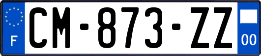 CM-873-ZZ