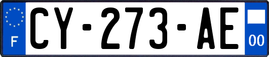 CY-273-AE