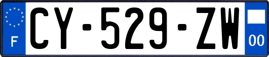 CY-529-ZW