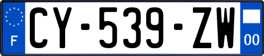 CY-539-ZW