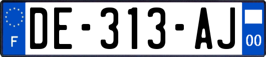 DE-313-AJ