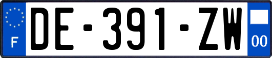 DE-391-ZW