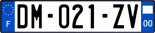 DM-021-ZV