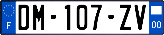 DM-107-ZV