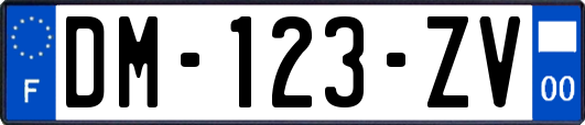 DM-123-ZV