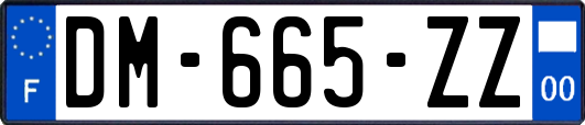 DM-665-ZZ