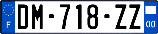 DM-718-ZZ