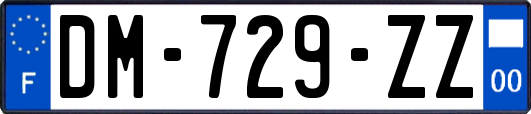 DM-729-ZZ