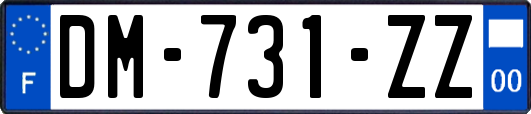 DM-731-ZZ