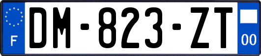 DM-823-ZT
