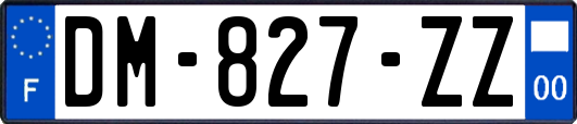 DM-827-ZZ