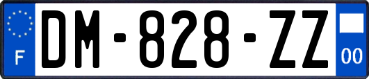 DM-828-ZZ