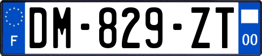 DM-829-ZT