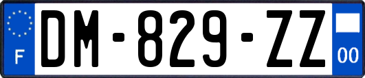 DM-829-ZZ