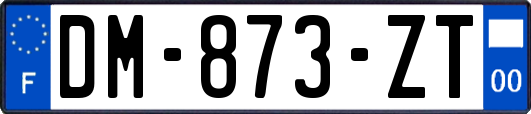 DM-873-ZT
