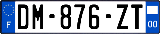 DM-876-ZT