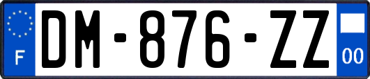 DM-876-ZZ