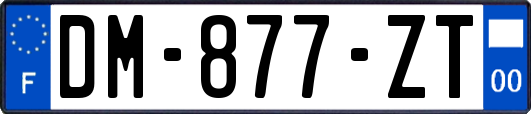 DM-877-ZT