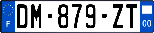 DM-879-ZT