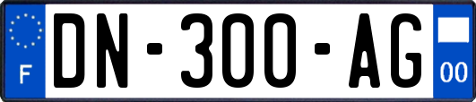 DN-300-AG