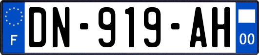 DN-919-AH