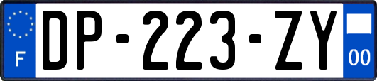 DP-223-ZY