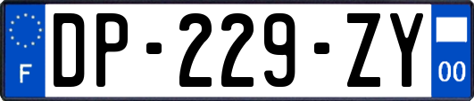 DP-229-ZY
