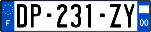 DP-231-ZY
