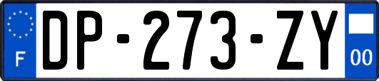 DP-273-ZY