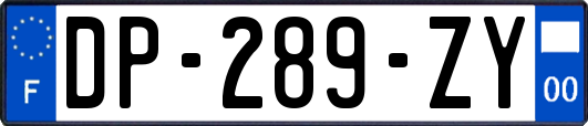 DP-289-ZY