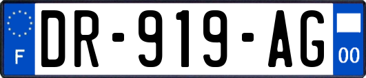 DR-919-AG