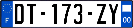 DT-173-ZY