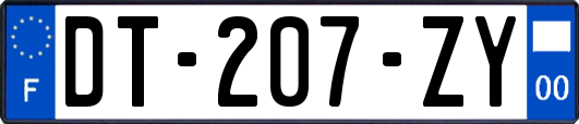 DT-207-ZY