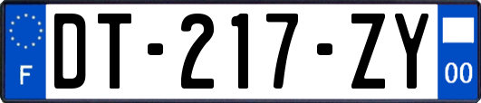 DT-217-ZY