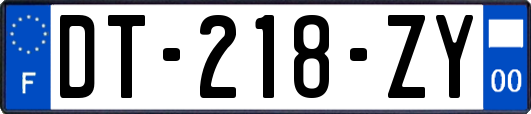 DT-218-ZY