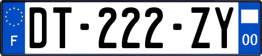 DT-222-ZY