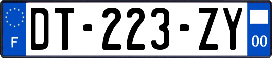 DT-223-ZY