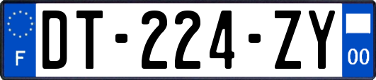 DT-224-ZY