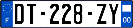 DT-228-ZY